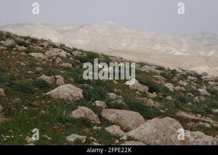 Terreno roccioso, rocce calcaree sulle pendici di una collina che si affaccia sulle colline Samariane orientali e la cima di Sartaba, il deserto della Giudea, riva occidentale. Foto Stock