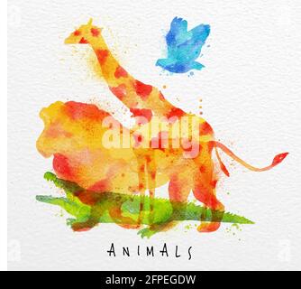 Colore animali, uccello, giraffe, leone, coccodrillo, disegno sovrastampa su carta acquerello sfondo caratteri animali Illustrazione Vettoriale