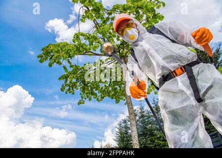 Giardiniere professionista caucasico nel suo 40s che indossa l'uniforme di sicurezza, spruzzando erbacce usando l'apparecchiatura di controllo del parassitismo di Pro. Punto di vista erbaccia. Foto Stock