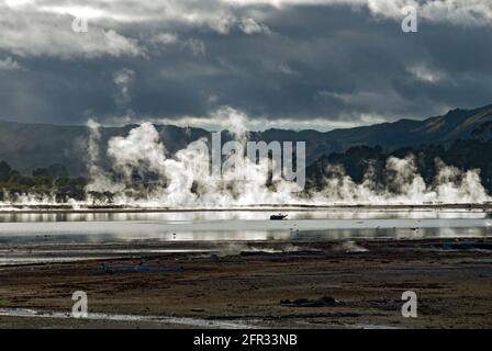 Lago Rotorua Hot Springs, Rotorua, Isola del Nord, Nuova Zelanda Foto Stock