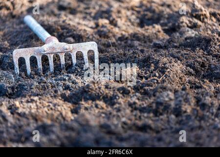 Un vecchio rastrello è messo su un mucchio di suolo dopo che coltivatori preparano il suolo per piantare. Foto Stock