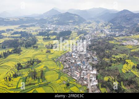 Vista aerea dei fiori di colza a Luoping, Yunnan - Cina Foto Stock