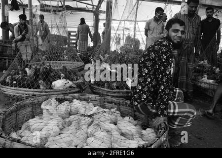 Il mercato all'ingrosso del pollo al bazar di Karwan a Dhaka, Bangladesh. Foto Stock