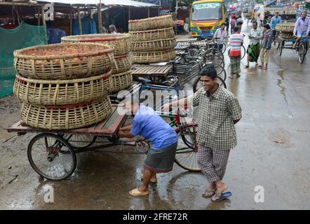 Il mercato all'ingrosso del pollo al bazar di Karwan a Dhaka, Bangladesh. Foto Stock