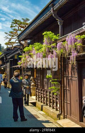 Glicine nel distretto di Sanmachi, Takayama Foto Stock