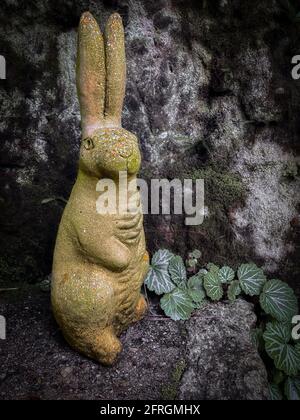 Una statua di un coniglio nel tempio Meigetsu-in, costruito nel 1394, vicino a Kamakura, Giappone (iPhone 12 Mini) Foto Stock