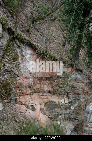 Il burrone semicircolare a forma di imbuto del fiume Dauda è chiamato il calderone della strega. Splendida vista sulla natura nel Parco Nazionale di Gauja. Foto Stock