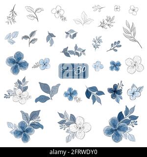 Set di fiori blu e foglie elementi di stile acquerello. Illustrazioni disegnate a mano isolate su sfondo bianco. Illustrazione Vettoriale