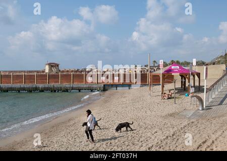 Una donna passeggiava con il suo cane e i cani randagi su una spiaggia dedicata per cani a Tel Aviv. Israele Foto Stock