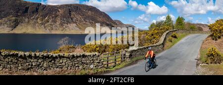 Ciclista femminile che costeggia Crummock Water, Lake District, Cumbria, UK. Foto Stock