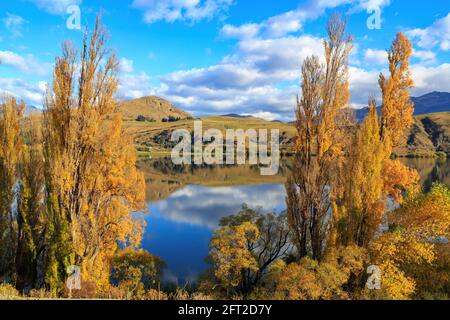 Lago Hayes, Nuova Zelanda, in una bella giornata d'autunno, circondato da alberi con fogliame colorato Foto Stock