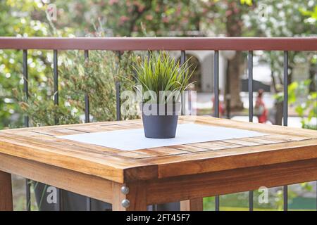 Pentola con fiore verde su tavolo di legno di caffè all'aperto strada. Design del ristorante estivo. Foto Stock