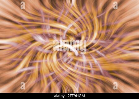 Linee gialle, rosa e bianche intrecciate. Pattern striping astratto. Arte digitale Foto Stock