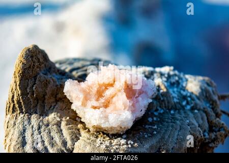 Cristalli di sale rosa su palo di legno. Foto Stock