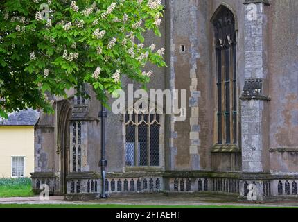 Chiesa di Santa Maria nel villaggio di East Bergholt, Suffolk, Inghilterra, Regno Unito Foto Stock