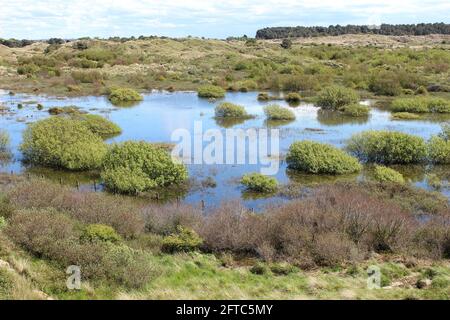 Riserva Naturale Nazionale di Ainsdale con alti livelli d'acqua in Dune Slack maggio 2021 Foto Stock