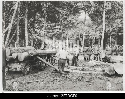 Prima guerra mondiale, prima guerra mondiale, fronte occidentale - sua Maestà Re Giorgio V che guarda i logger al lavoro in una foresta francese Foto Stock