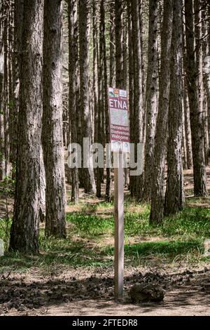 Cartello turistico in montagna di Sicilia testo 'Monte Etna Welcome' e alberi di pino della foresta sfocati sullo sfondo Foto Stock