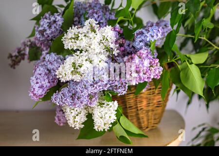 Lilla rami fiore in vimini cesto su tavola di legno vicino a sfondo bianco parete Foto Stock