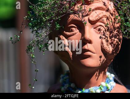 Le foglie di una pianta di timo limone, in una piantatrice di terracotta che assomiglia a Medusa dalla mitologia greca, gettano ombre sul viso. Foto Stock