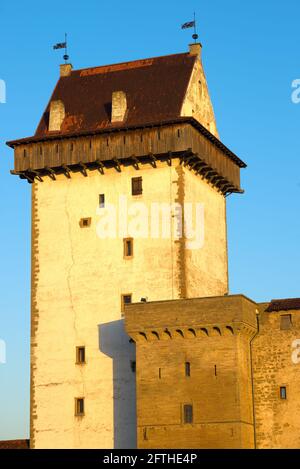 L'antica torre lungo tedesco del castello medievale di Narva primo piano alla luce del sole serale. Narva, Estonia Foto Stock