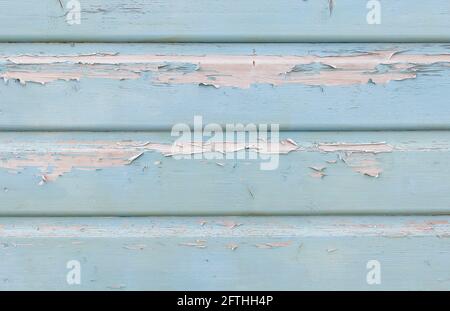 Legno rivestito di grigio verde con vernice da peeling e spazio per copia Foto Stock