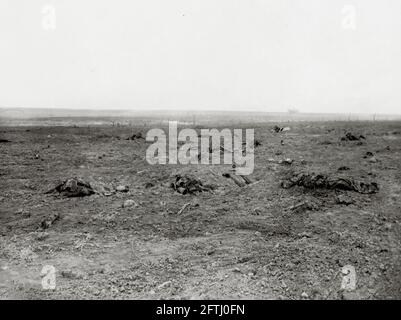 Prima guerra mondiale, prima guerra mondiale, fronte occidentale - Vista sul campo di battaglia di fronte a Guillemont, Somme Department, Hauts-de-France, Francia Foto Stock