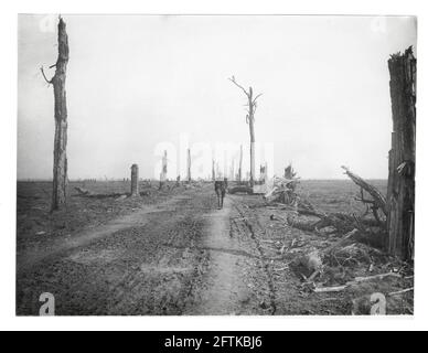 Prima guerra mondiale, prima guerra mondiale, fronte occidentale - la Amiens-St Quentin Road che mostra l'effetto del fuoco sugli alberi da una strada, Francia Foto Stock