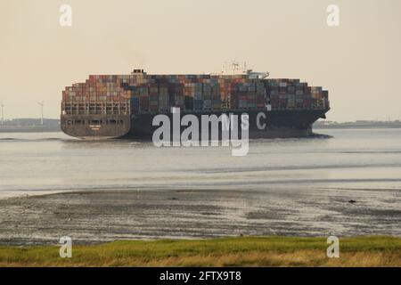 una grande nave da carico naviga lungo un fanghflat attraverso il fiume scheldt verso anversa in estate Foto Stock