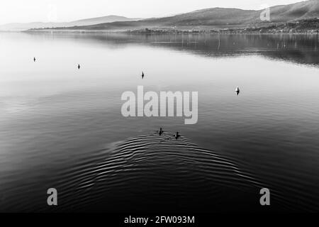 Vista tranquilla e da sogno di un lago, con anatre, boe e colline riflessi sull'acqua Foto Stock