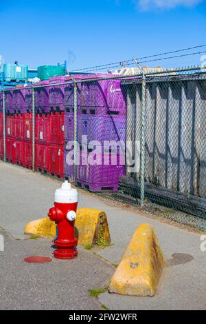 Idrante antincendio su una strada industriale con barili in cemento e. Contenitori di pesce colorati in Steveston British Columbia Canada Foto Stock