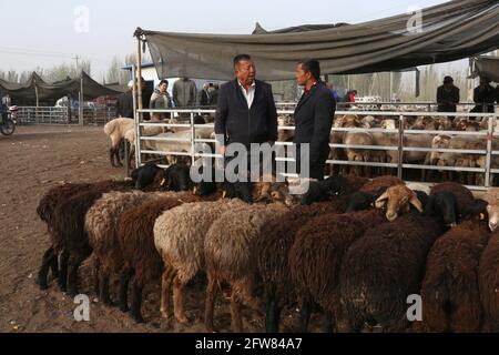 Domenica Animali fiera vicino Kashgar, Xinkiang, Repubblica popolare di Cina, 2019 Foto Stock