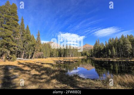 Uno splendido scenario sul lato di Tioga Road con il Monte Dana e il Monte Gibbs sullo sfondo, il Parco Nazionale di Yosemite Foto Stock