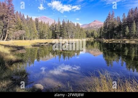 Uno splendido scenario sul lato di Tioga Road con il Monte Dana e il Monte Gibbs sullo sfondo, il Parco Nazionale di Yosemite Foto Stock