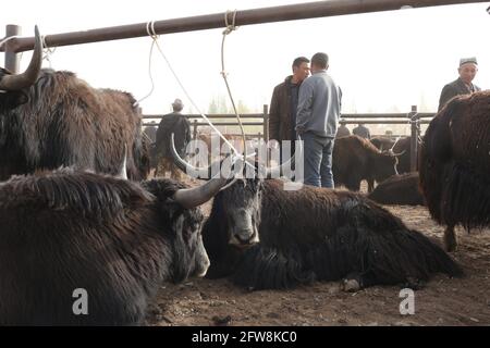 Domenica Animali fiera vicino Kashgar, Xinkiang, Repubblica popolare di Cina, 2019 Foto Stock