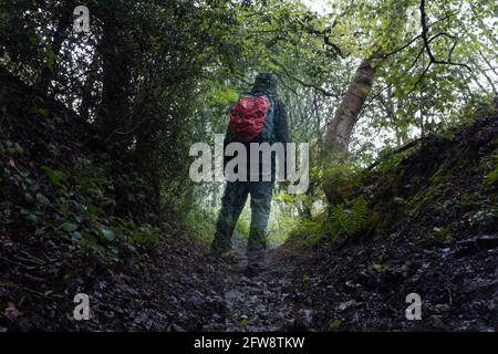 Guardando in su ad un percorso sommerso benchè boschivo. Su un bagnato, moody estata giorno. Con una doppia esposizione di un escursionista mezzo trasparente. REGNO UNITO. Foto Stock