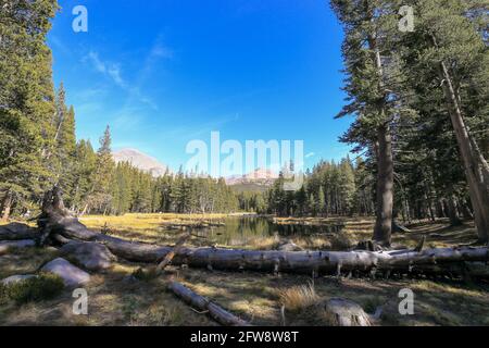 Uno splendido scenario sul lato di Tioga Road con il Monte Dana e il Monte Gibbs sullo sfondo, il Parco Nazionale di Yosemite Foto Stock