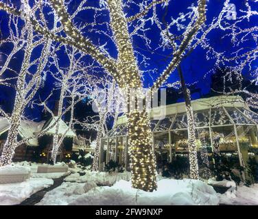2006 STORICO CRYSTAL ROOM PATIO TAVERNA SUL VERDE (©JACOB WREY STAMPO 1870) CENTRAL PARK WEST MANHATTAN NEW YORK CITY USA Foto Stock