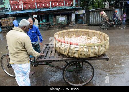 Il mercato all'ingrosso del pollo al bazar di Karwan a Dhaka, Bangladesh. Foto Stock