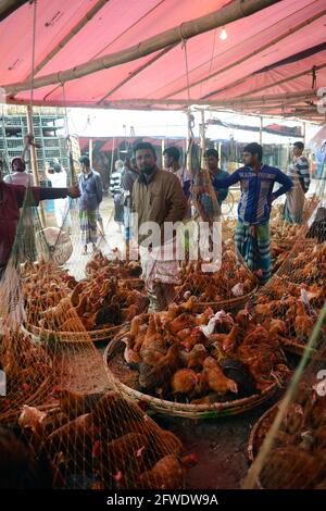 Il mercato all'ingrosso del pollo al bazar di Karwan a Dhaka, Bangladesh. Foto Stock