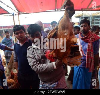 Il mercato all'ingrosso del pollo al bazar di Karwan a Dhaka, Bangladesh. Foto Stock