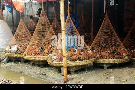 Il mercato all'ingrosso del pollo al bazar di Karwan a Dhaka, Bangladesh. Foto Stock