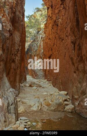 Standley Chasm, West MacDonnells Range, Northern Territory, Australia Foto Stock