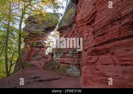 Formazione di rocce di arenaria, Altschlossfelsen, Foresta di Palatinato, Renania Palatinato, Germania, Europa Foto Stock