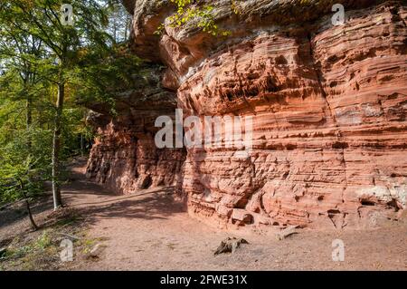 Formazione di rocce di arenaria, Altschlossfelsen, Foresta di Palatinato, Renania Palatinato, Germania, Europa Foto Stock