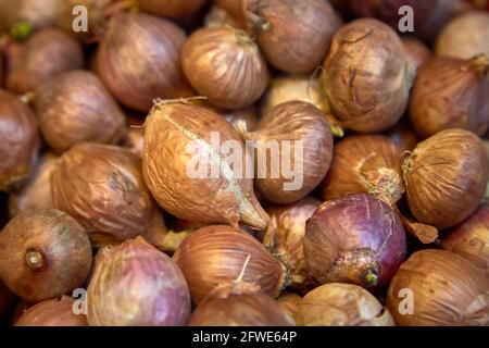 Una selezione di scalogno freschi in un banco di verdure nel mercato Tai Yuen, Hong Kong Foto Stock