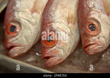 Pesce fresco in vendita al mercato Tai Yuen di Hong Kong. Foto Stock