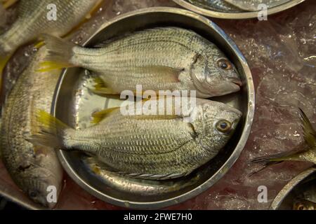 Pesce fresco in vendita. Foto Stock