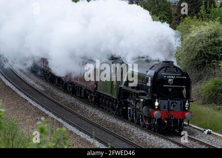 Locomotiva a vapore Tornado che passa attraverso Kilnhurst, South Yorkshire sulla strada per Carlisle. Foto Stock