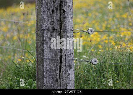 Recinto elettrico con trasformatore elettrico e batteria Power Pack in un  campo Foto stock - Alamy